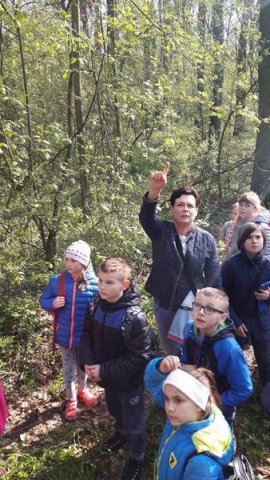Dolina Krąpieli \'17