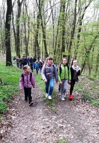 Dolina Krąpieli \'17