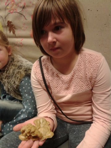 W muzeum klasy 2a i 3a,b