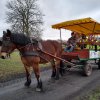 Myślibórz 2019- Zielona szkoła