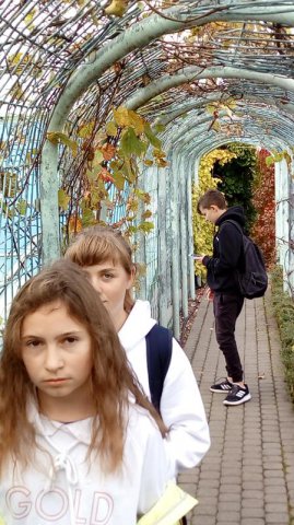 Ogrody na dachu Biblioteki Uniwersyteckiej