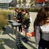 Ogrody na dachu Biblioteki Uniwersyteckiej