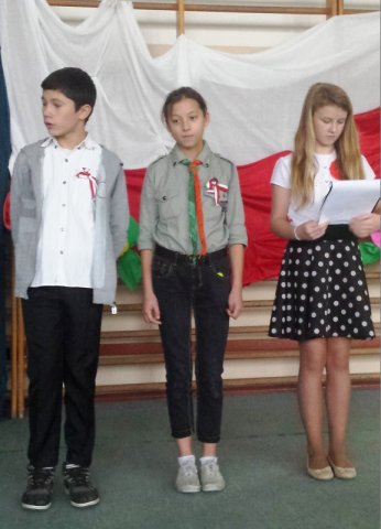 Święto Niepodległości 2015
