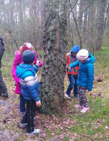 Kliniska 2016