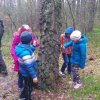 Kliniska 2016