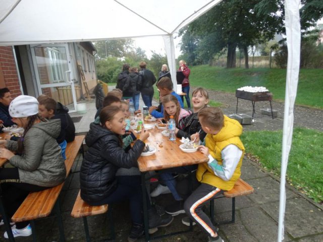 Ziemniak 2019