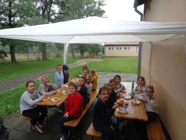 Ziemniak 2019