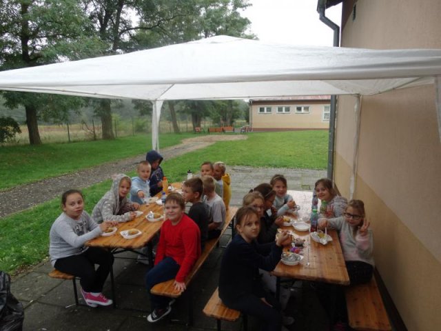 Ziemniak 2019