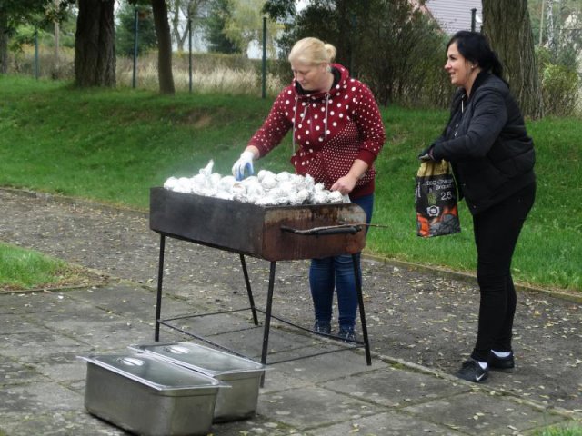 Ziemniak 2019