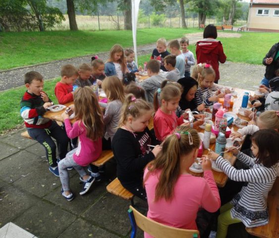Ziemniak 2019